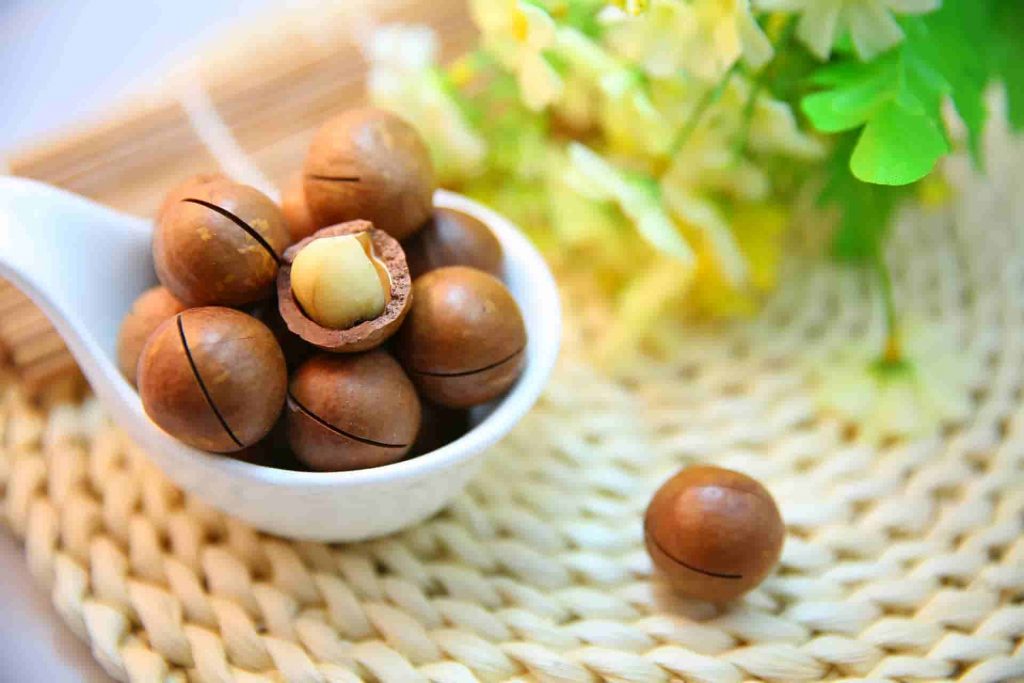 Macadamia