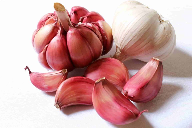 All About GARLIC?