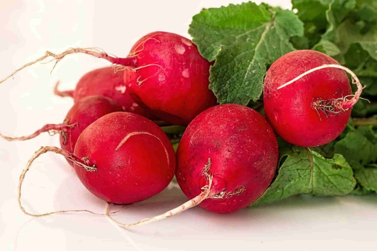 How Much Do You Know about Radish?