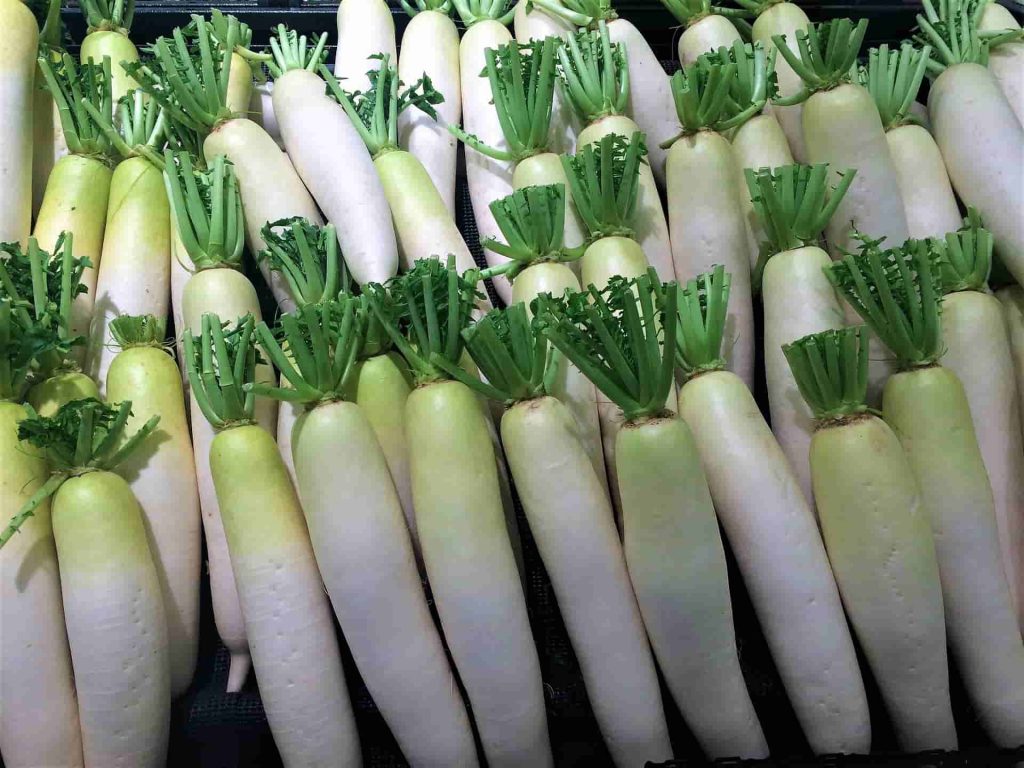 white radish