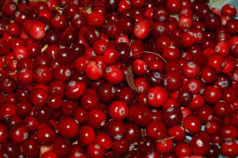 Better skin and 9 more health benefits of cranberries